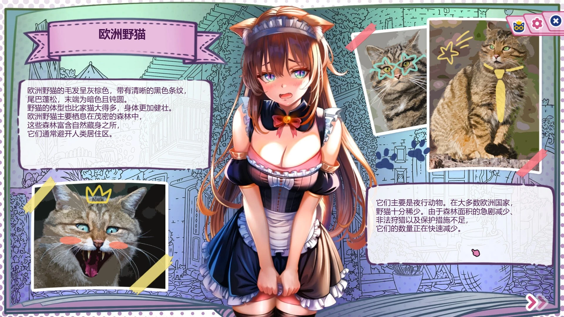 图片[4]-【SLG/官中正式】猫娘百科：寻找她的小尾巴-紫星的菜单 - 仅收录精品的小站